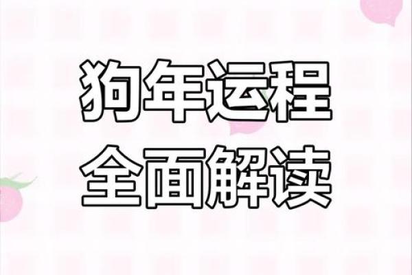 2025年属狗的今年多少岁_属狗2025年属狗每月运势和运