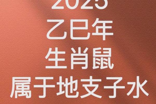 1960年属鼠2025年运势