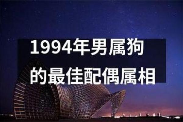94属狗的属相婚配表 94年属狗最佳婚配表属相配对指南