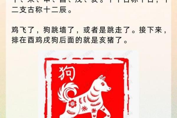 2006年属鸡还是狗生肖年份解析与运势预测