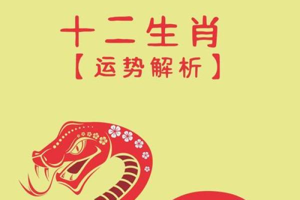 1987年的兔在2025年的运势怎么样 2025年运势解析1987年属兔人未来运程预测