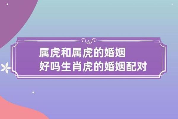 98年虎男2025年姻缘 98年虎男2025年姻缘解析爱情运势与最佳婚配指南