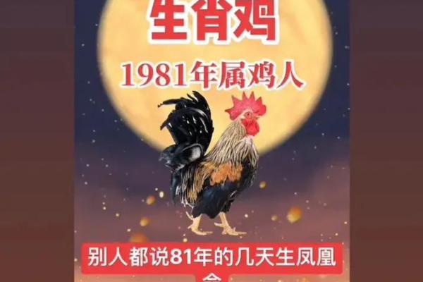 81属鸡男最忌四种女人_81年属鸡男最忌讳的四种女人类型解析