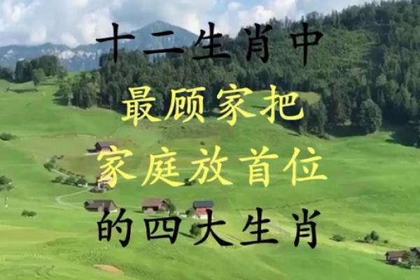 家风丑陋是什么生肖(家风丑陋是什么生肖正确答案)