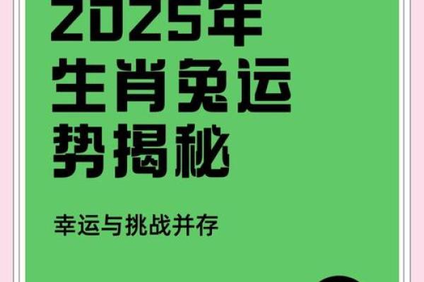 1987年属兔2025年运势_1987年属兔2025年运势如何