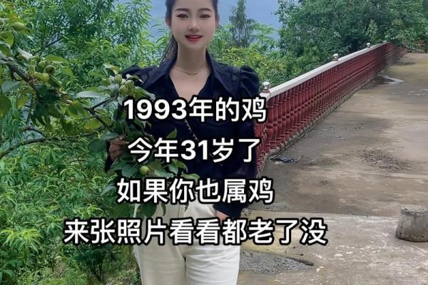2005属鸡今年多大了_2005年属鸡的今年多少岁