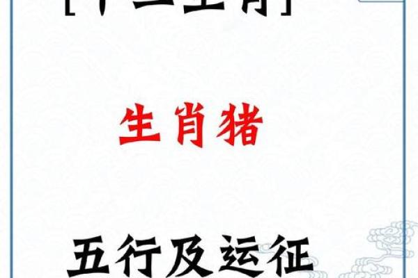07年属猪2025年多大_2007年属猪2025年多大