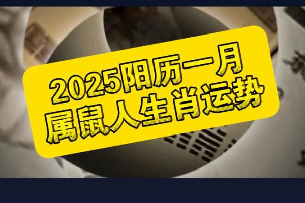 1972年属鼠2025年运势及运程女性