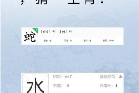 文质彬彬猜一生肖