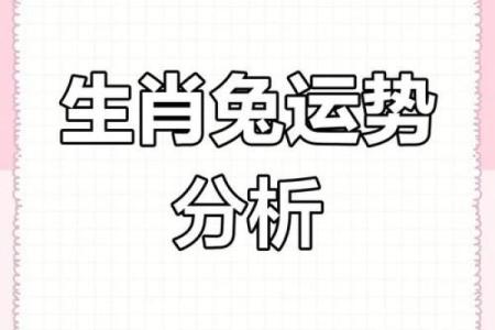 1987年男兔2025年运势详解事业财运爱情全解析
