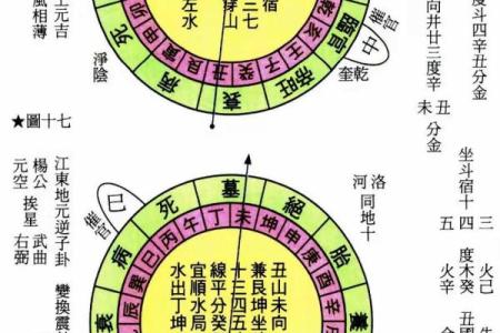 农历2025年五行属什么