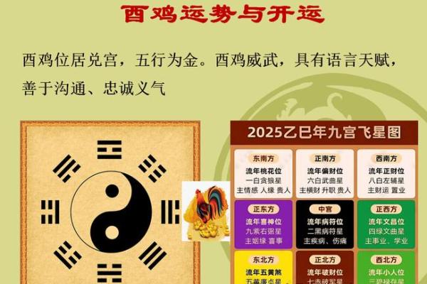 81年属鸡女2025蛇年运势如何_2025蛇年81年属鸡女运势解析吉凶如何