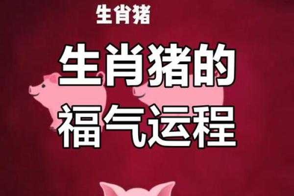 2025年属猪人健康运势解析47年出生者需注意的关键点