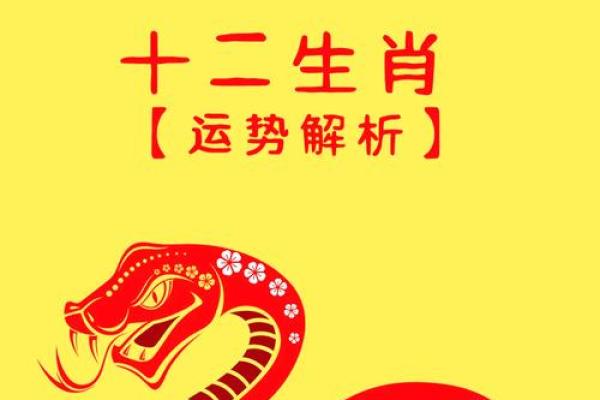2025年属龙的运气_2025年属龙的运势和财运怎么样