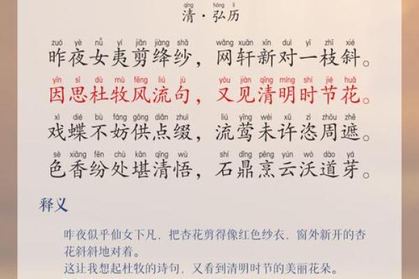 梅花杏花照玉堂是什么生肖(梅花杏花照玉堂是什么生肖浑俗和光)