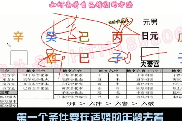 输入生辰八字免费算婚期_输入生辰八字免费算婚期软件