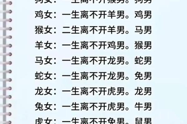 属猪和属龙的婚姻相配吗_属猪和属龙的婚姻相配吗解析生肖配对奥秘
