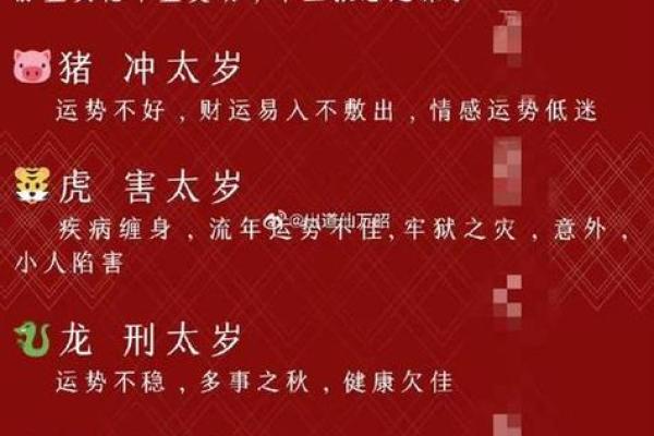 83年属猪2025全年运势 2025属猪血光之灾