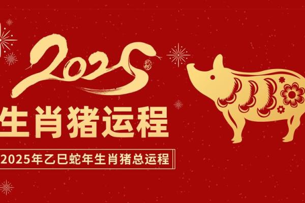 2025属猪的要躲着谁 2025年属猪人需警惕这些生肖要躲着谁