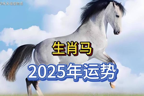 2025年属马人的全年运势超详细 1978年属马2025年运势及运程