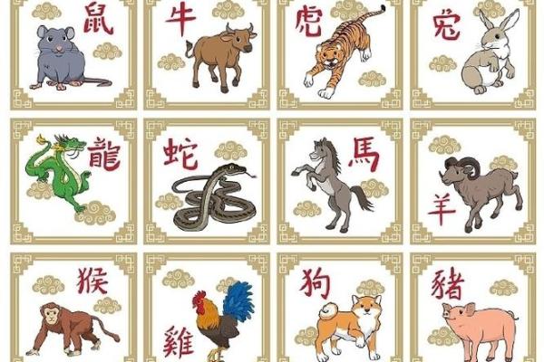 胆小过街是什么生肖