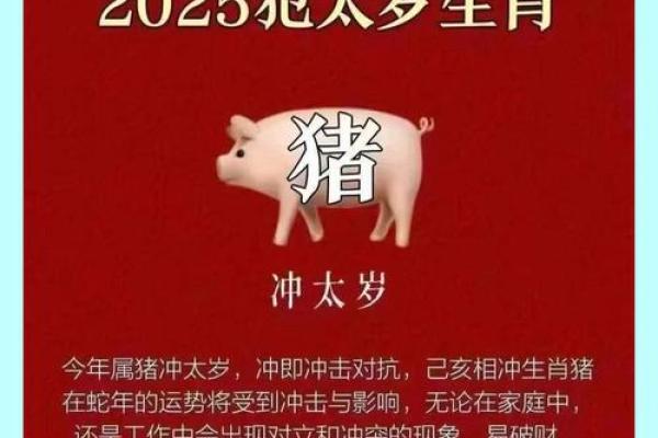 1983年属猪男2025年运势完整版 1983年属猪男2025年运势详解事业财运健康全解析