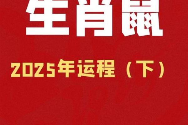 鼠年2025年运势及运程