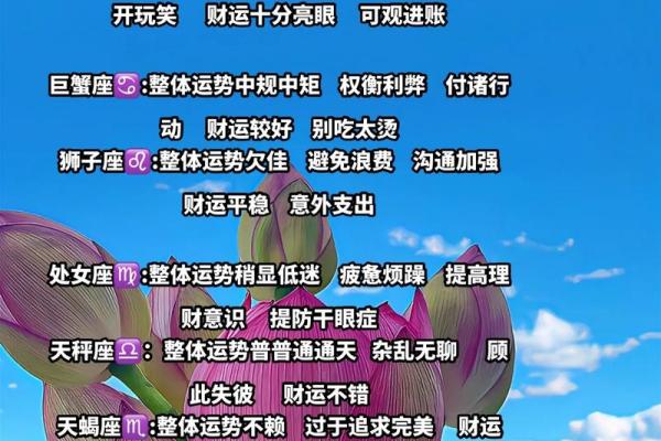 玛法达12月星座运势全面解析12星座本月运势走向