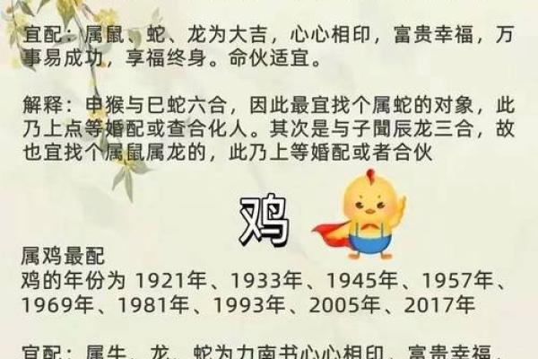93年1月份出生属鸡还是猴生肖划分详解