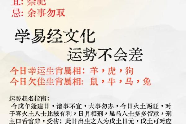 属马人今日运势解析吉时财运禁忌全指南12月31日
