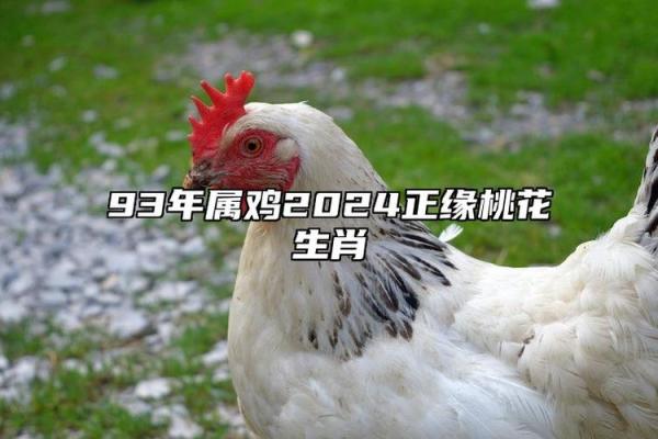 1993年属鸡姻缘怎么样_1993年生肖鸡姻缘在哪年