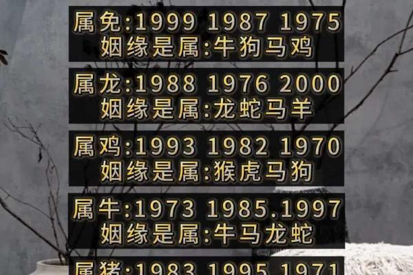 1990年属马人2025年婚姻运程逐月解析全年姻缘走势