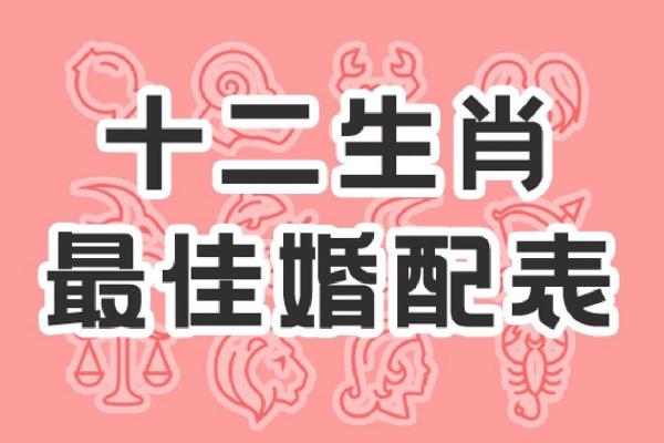 男的属虎女的属龙合适吗_男的属虎女的属龙婚姻合不合