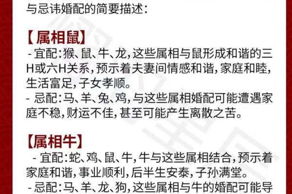 两雄相争猜最佳生肖(两雄相争猜最佳生肖是什么)