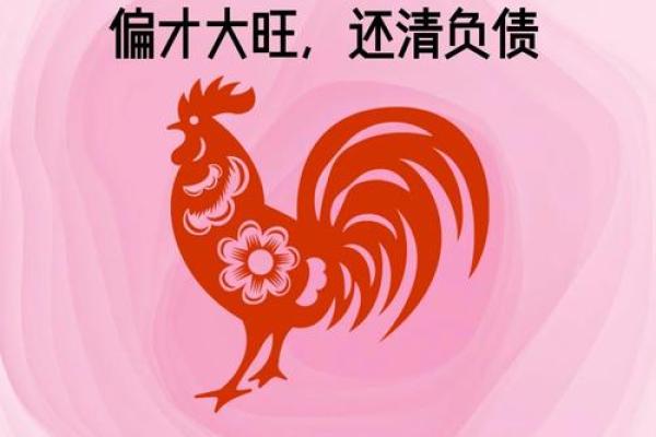 1981年属鸡男2025年的运势和婚姻_2025会抛弃老婆的生肖男