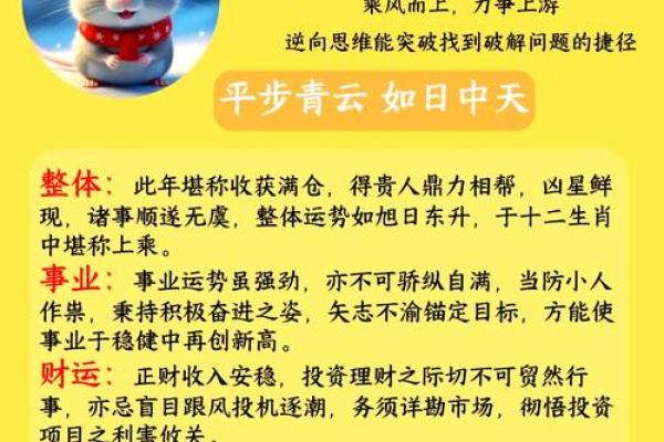 84年属鼠的今日运势查询