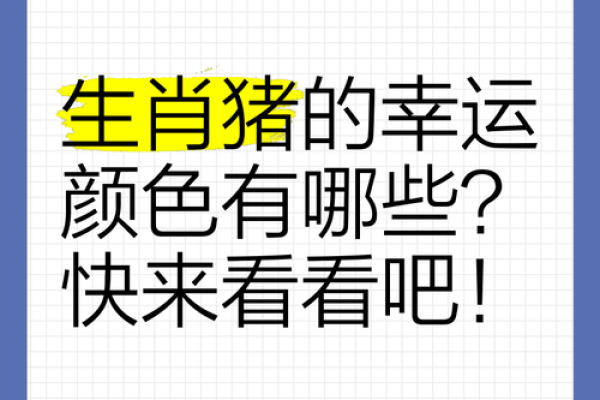 2025年属猪人幸运色揭秘助你运势飙升的秘诀