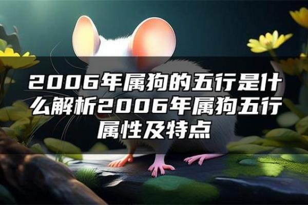 九四年狗五行属什么命详细解析与命运分析