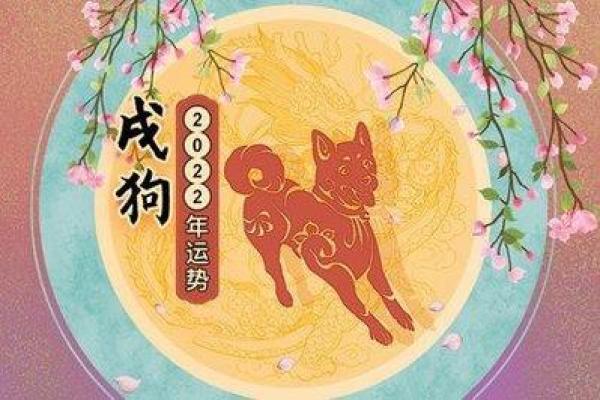 1982年属狗在2026年全年运程_1982年属狗2026年全年运势详解及运程预测