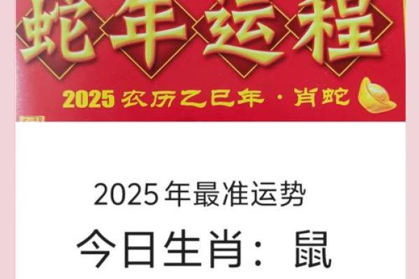 72年属鼠人2025年每月运势
