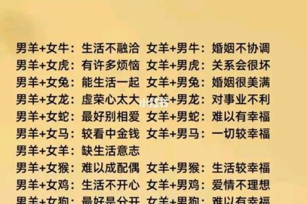 “同舟共济”打一生肖是什么，同舟共济是什么生肖答案解释释义落实
