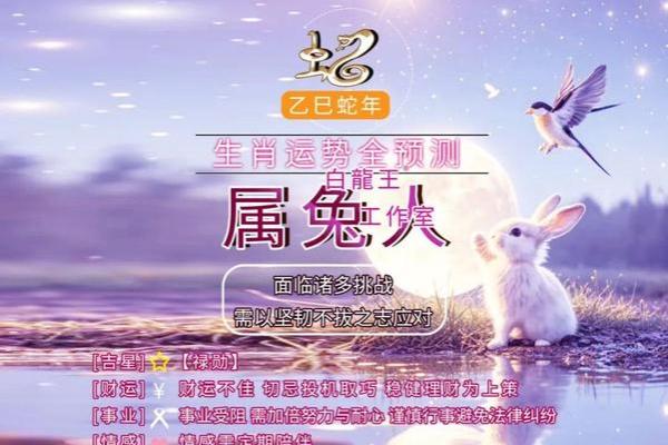 2025年属兔女全年运势 2025年属兔女全年运势详解财运爱情事业全面解析