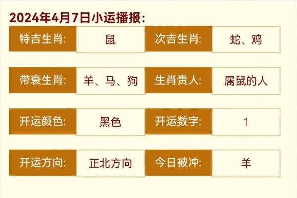 鼠人今日运势
