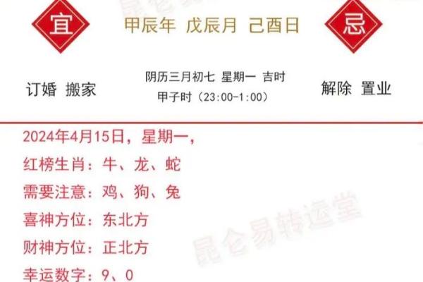 属兔2024年的运势及运程_2024年属兔运势详解全年运程及注意事项