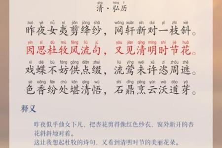 梅花杏花照玉堂是什么生肖(梅花杏花照玉堂是什么生肖浑俗和光)