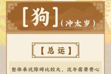 2025年属狗的财运和运气如何 属狗2025年运势及运程每月运程狗
