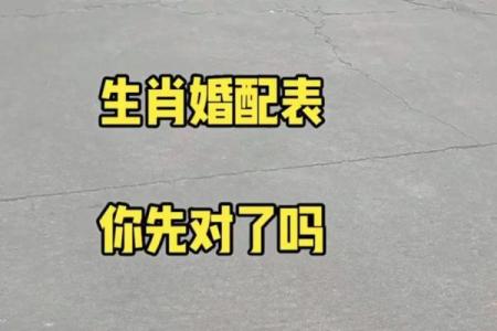 男属猴女属鸡婚姻相配吗生肖配对解析与婚姻建议