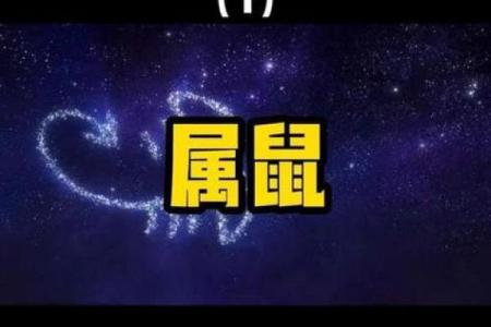 1972年属鼠今年运势