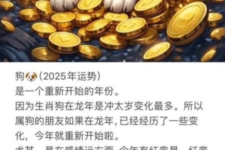 1970年属狗女2025年运势及运程_1970年属狗女2025年运势及运程每月运程