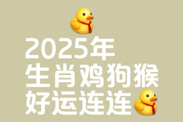 2025生肖鸡1981运势_2025年生肖鸡1981年出生者运势详解